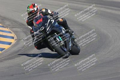 media/Sep-25-2023-Moto Forza (Mon) [[81ffa65e0a]]/A Group/Session 2 (Turns 9 and 10)/